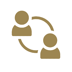 icon 2
